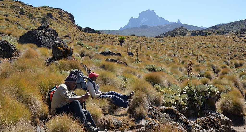 Flora and Fauna of Mount Kenya