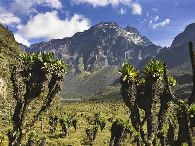 Ruwenzori Mountains Climbing