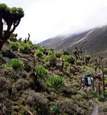How Long Does it Take to Climb Mount Kenya