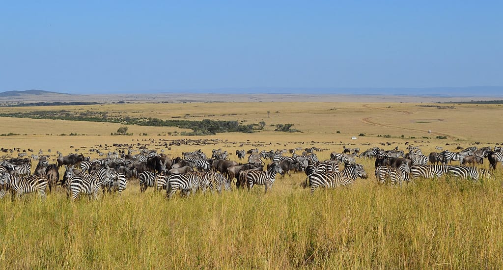 kenya's romantic honeymoon escapes