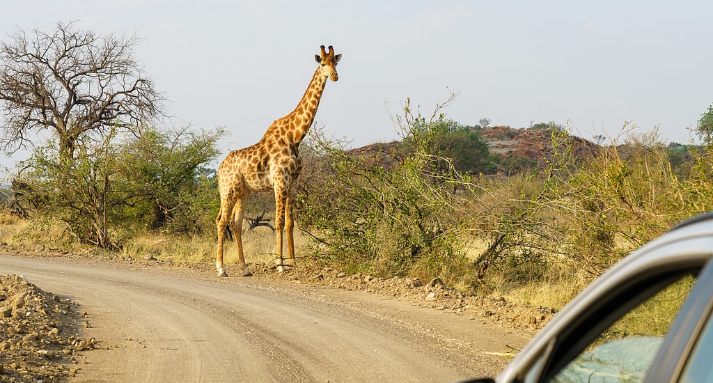 best months to visit kenya