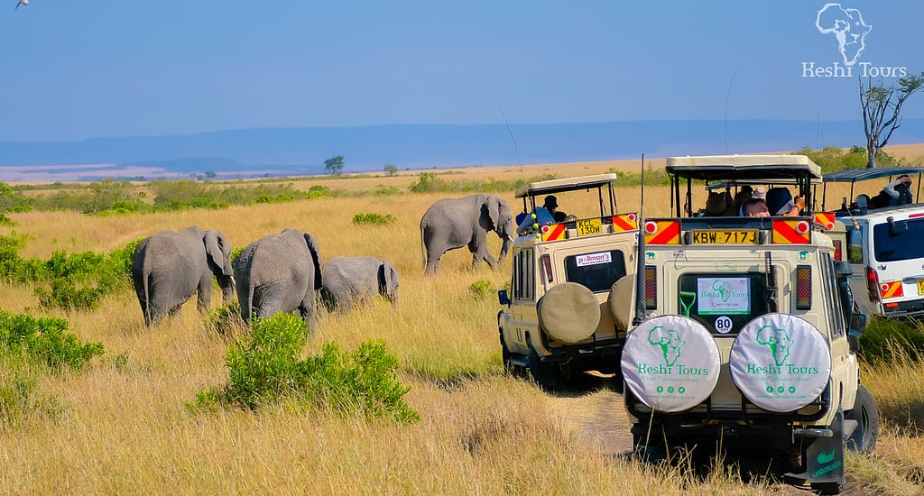 Masai Mara Photography Safaris