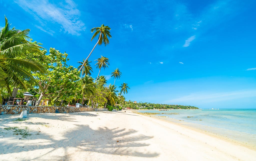 Diani to Tsavo East: Sun, Sand & Savannah