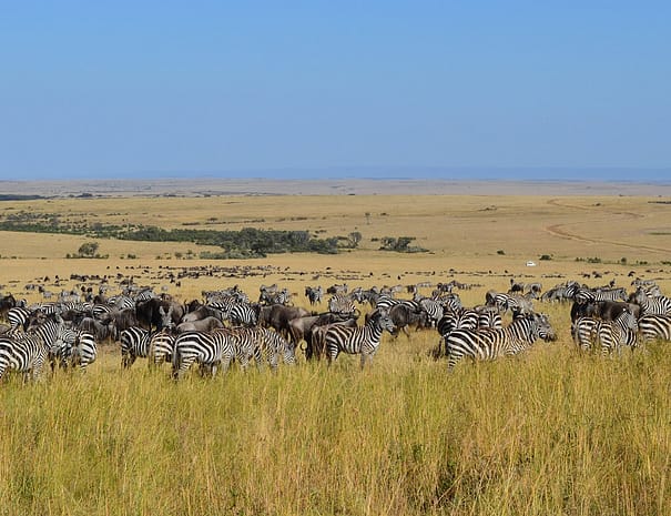 kenya's romantic honeymoon escapes