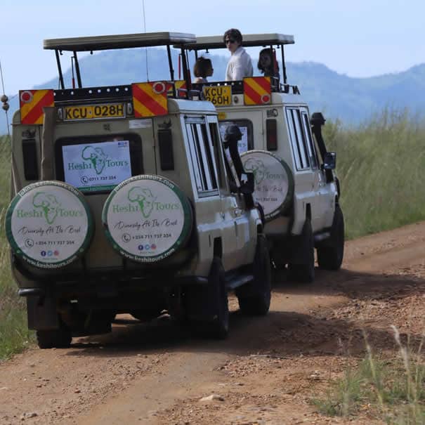 Maasai Safari 4 Nights Driving & Flying Packag