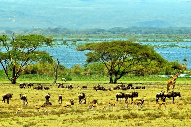 Cost of Visiting Crescent Island