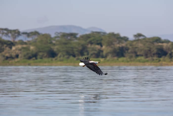 Lake Naivasha